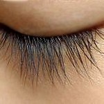 [사진有] 수술한것같은 쌍꺼풀 말고... 난 긴 속눈썹!!