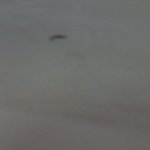 매*유업에서나온 이<b>물질</b>(2010년 7월)