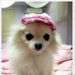 사고로... 갑작스럽게... 제전부를하늘나라로보냈습니다...
