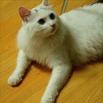 [사진有] 2탄!! 아이들 4명을 키우는 이야기 ....