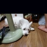 <b>to</b>. 좋게보면 성숙, 사실을 말하자면 늙어보이는 나의 애증의 그이♥