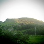 제주도에서 흑<b>염소</b>한테 죽임을 당할뻔한 사연...