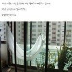 커다란 곰인형 세탁 <b>도전기</b>. (사진有)
