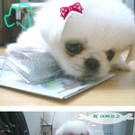애기가 자꾸물어요도와주세요