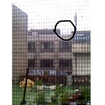 사진有)새벽에 들이닥친 곤<b>파스</b>피해