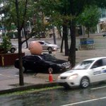 곤<b>파스</b>의 위력! 사진有