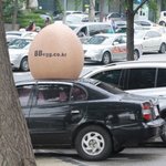 강남에 떨어진 계란<b>폭탄</b>
