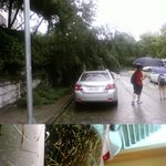 곤<b>파스</b> 피해...헉