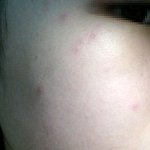 <b>술독</b>인가요? 사진有