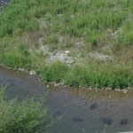 [사진有] 21살 촌남정네들의 <b>배낭</b>기차여행.