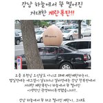 강남 하늘에서 뚝 떨어진 거대한 계란<b>폭탄</b>!!