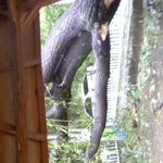7호태풍  곤<b>파스</b>의 위력