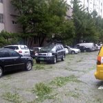 대충 실감한 '곤<b>파스</b>'의 위력