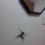 요새 곱등이가 대세라면서요ㅋ <b>종이</b>곱등이