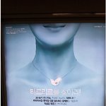 미션~!! 길거리에서 티르리르를 찾으세요~!