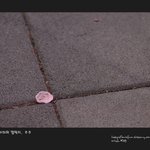 <b>a컵</b> 주제에 더치페이까지 안하는 여자가 너무 싫어요