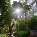 디카 700만<b>화소</b>로 사진 잘나오는 방법좀 알려주세요