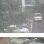 곤<b>파스</b>의 아픔