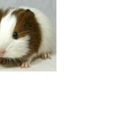 ★ (사진有) 친구가  해준 생일 이벤트!