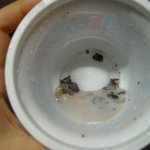 롯데 팥빙수에서 <b>발톱</b>같은게 나왔어요