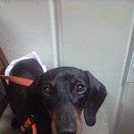 <b>부천</b> 거주하시는분 꼭 한번 봐주세여
