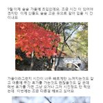 가을을 <b>품고</b> 싶은 최고의 그릇