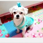 내<b>보물</b>을 소개해요^^(사진 대방출합니다^^)