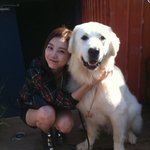 개와 얼굴크기 박수진 <b>소두</b> 인증샷