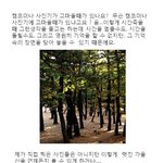 소소한 <b>몇</b>가지에서 얻을<b>수</b> 있는 즐거움을 주는 것들