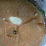 롯데리아의 실체