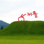경주 릉 <b>위에</b> 올라 가 있던 무개념 커플들...(사진有)
