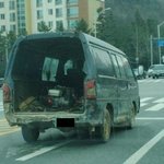 네트워크마케팅(20세이상분들꼭읽어주세요)