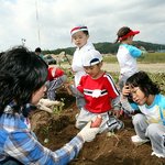 <b>울진</b>금강송송이축제