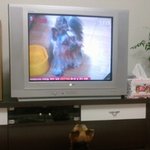 (사진,동영상 有) 보디가드犬 뽀돌이를 소개합니다 !
