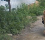 우리<b>집</b> 막내는 사람이 아닙니다.<b>사진</b> 有