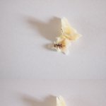 빵에서 벌레가 나왔는데 사과는 커녕 마음대로 하라던 파리바게트