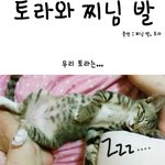 고양이에게 굴욕당한 나-_-;;;; [사진有]
