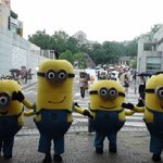 직찍!!! 노랑 매력<b>덩이</b> '미. 니. 언' 파파라치!!!