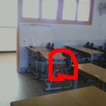 저희 학교에서 곱등이 님이...