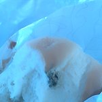 롯데리아 곰팡이<b>버거</b>