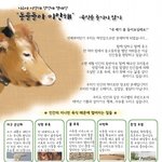 지구에서 살아가는 동물들의 <b>고충</b>