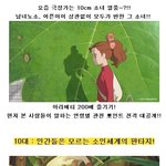 지금은 10cm소녀 <b>열풍</b> 중? 아리에티 200배 즐기는 법 대공개...