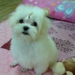 우리집 안주인의 실태를 공개합니다!!!!!!!!!!!!