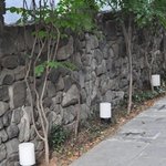 가로수길에 있다는 <b>도심</b> 속 정원 같은 카페 추천!