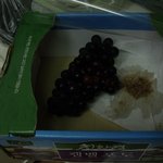 이마트 탄현점에서 산 구더기 나온 캠벨 포도