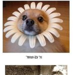말실수 ㅎㄷㄷ. 왜 웃기냐?ㅋㅋ