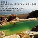 제2의 <b>지구</b> 모습, 소코트라 섬?