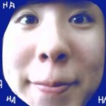 비타민<b>c</b>내<b>친구</b> (사진)