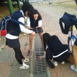 그녀들의 평범하지 않은 일상 (사진 有)