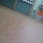 집앞에 강이 생겼어요..<b>노아</b>의 방주 급구 ㅠㅠ